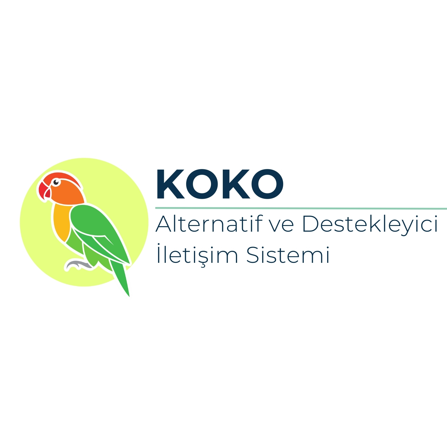 Koko Alternatif ve Destekleyici İletişim Sistemi